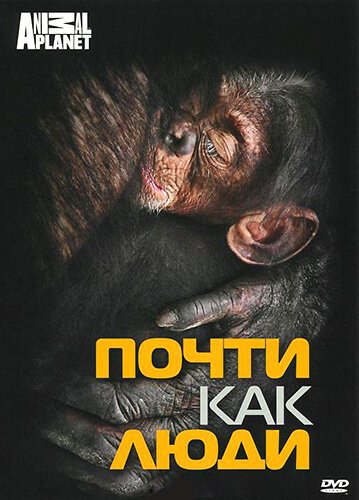 Discovery: Почти как люди