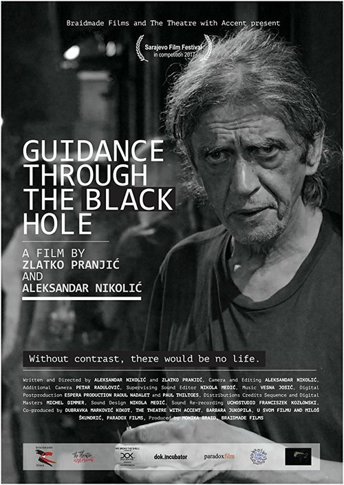 Guidance through the Black Hole