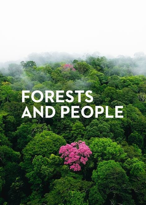 О лесах и людях