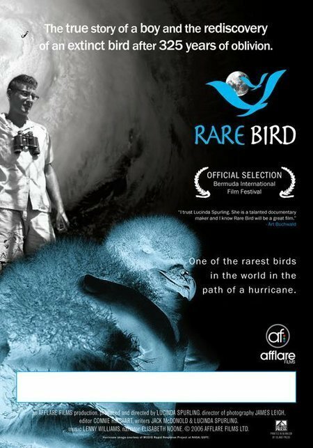 Rare Bird