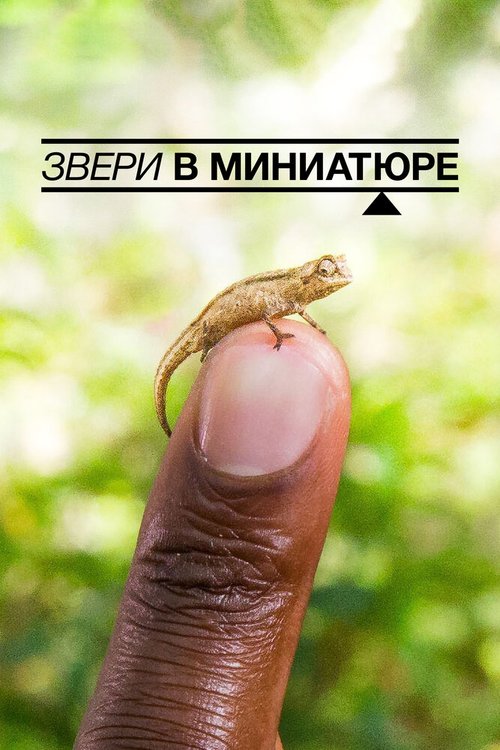 Звери в миниатюре