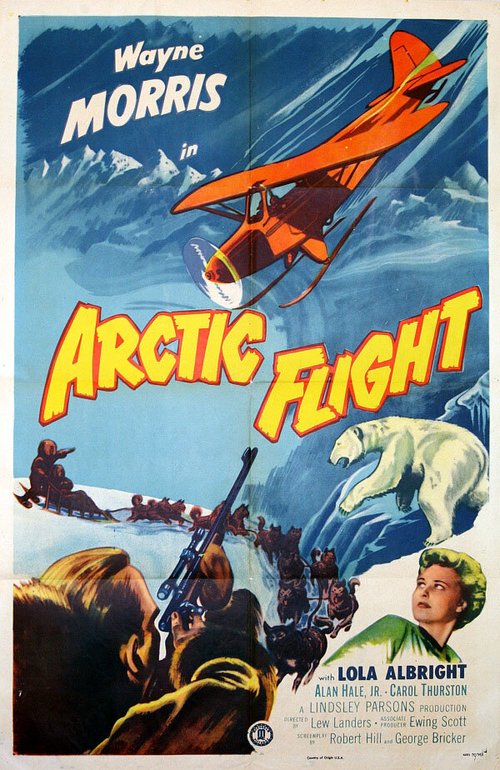 Arctic Flight