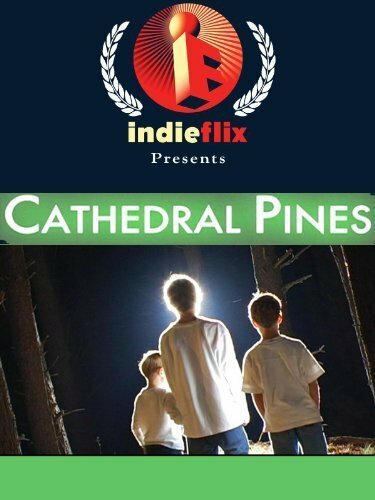 Cathedral Pines