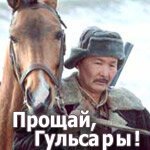 Прощай, Гульсары!