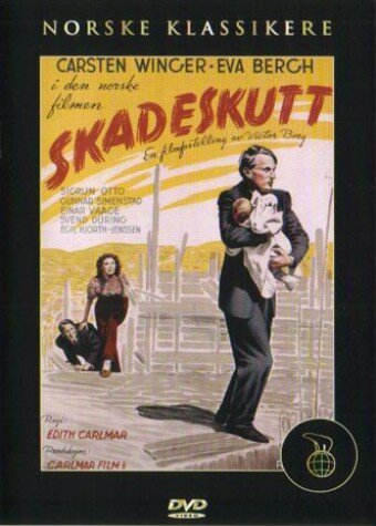 Skadeskutt