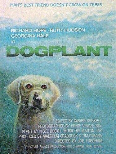 Dogplant