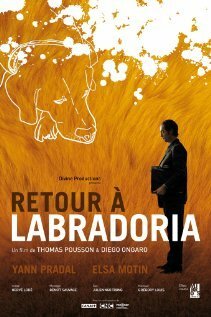 Retour à Labradoria