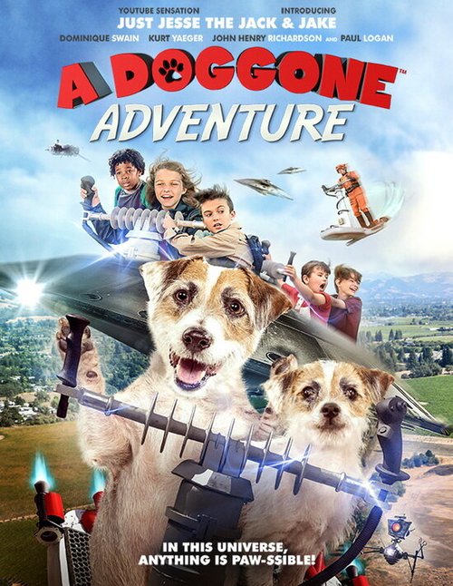 A Doggone Adventure